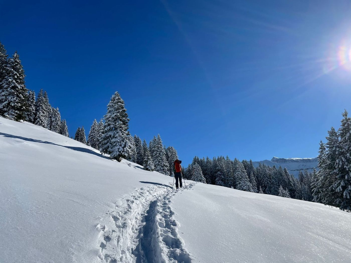 Klettern*5 Mehrbett Zimmer – Bild
